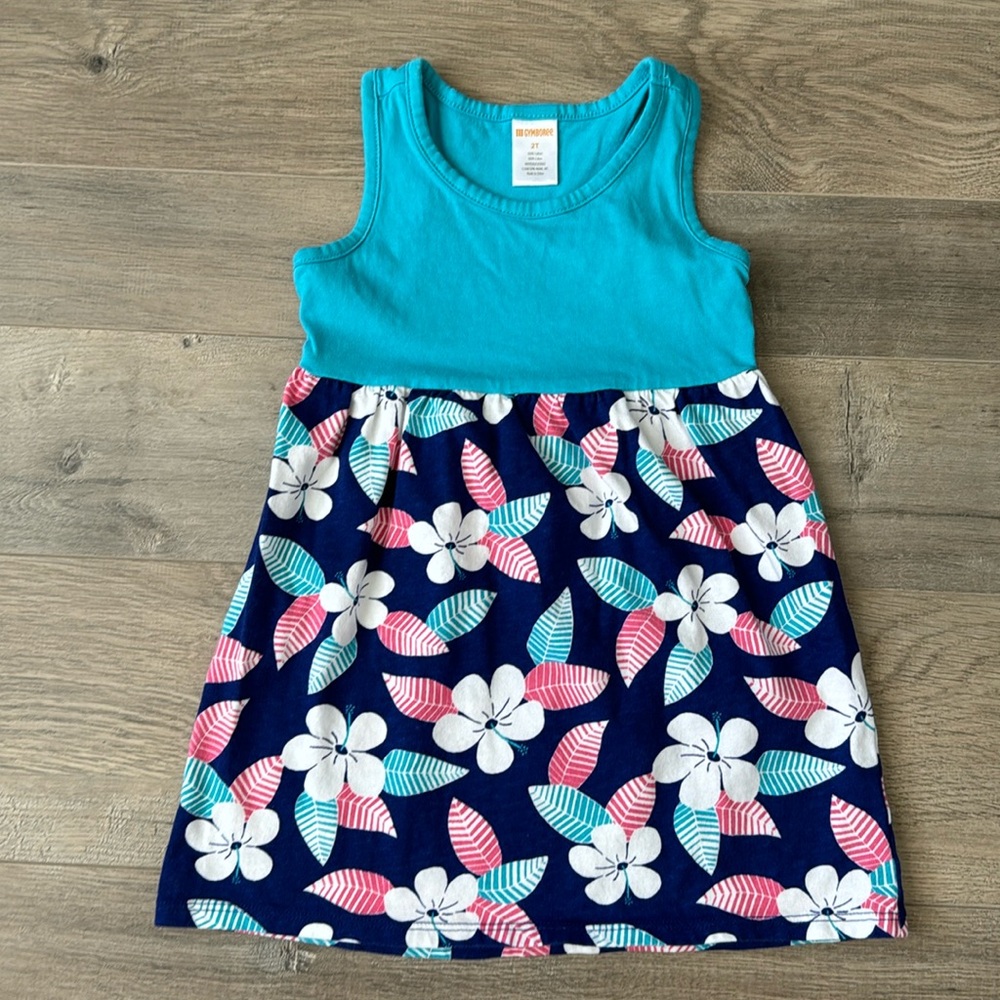 2T Gymboree dress